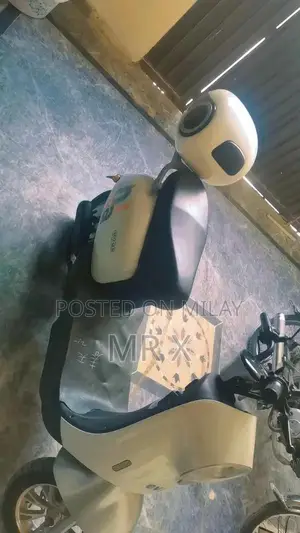 EVEE Nisa 2025 model New condition