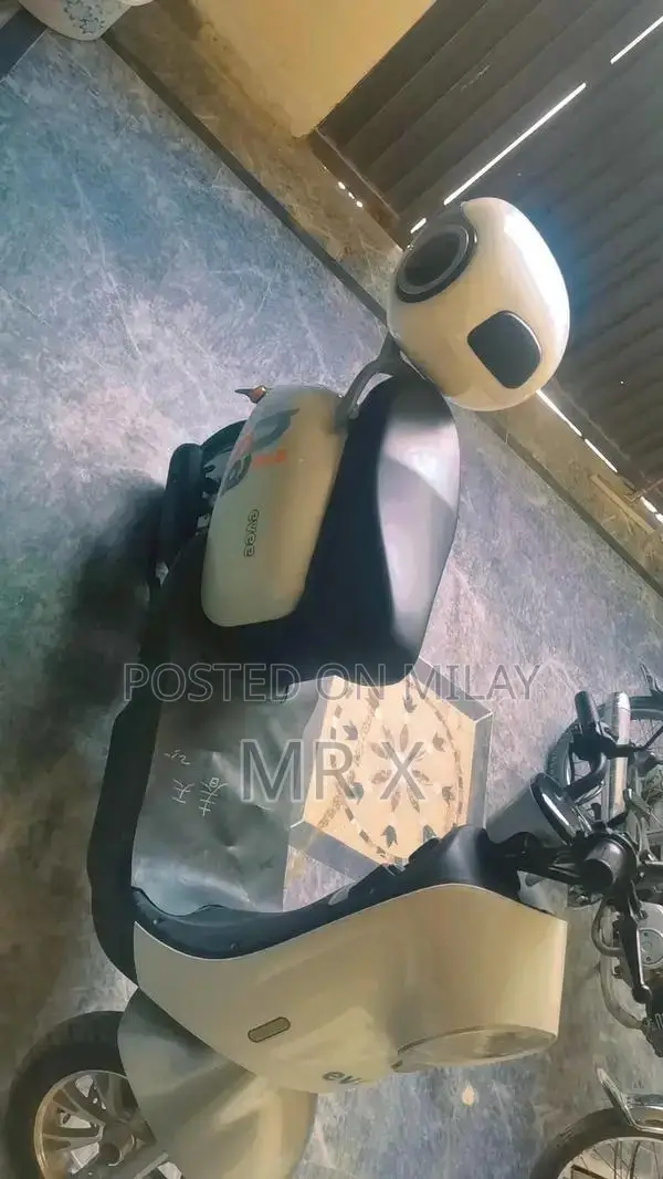 EVEE Nisa 2025 model New condition