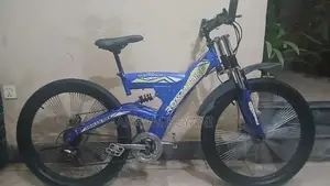 Photo - Semi Fat Bicycle with 7 Front and 3 Rear Gears