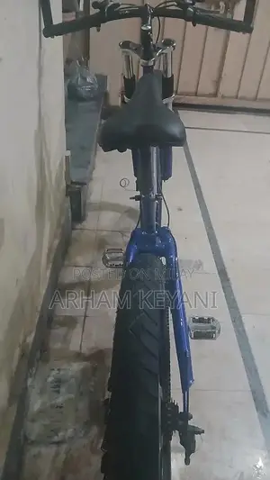 Semi Fat Bicycle with 7 Front and 3 Rear Gears