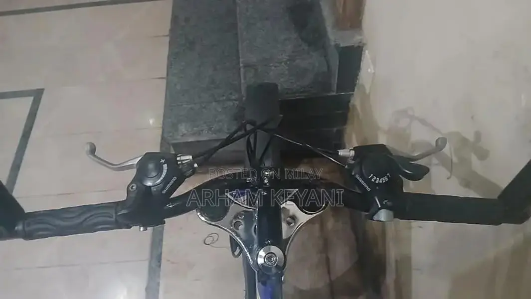 Semi Fat Bicycle with 7 Front and 3 Rear Gears