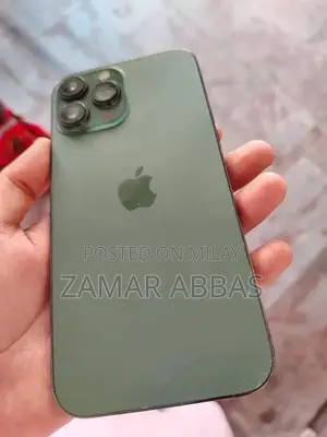 13 PRO MAX 256 GB JV EXCHANGE POSSIBLE