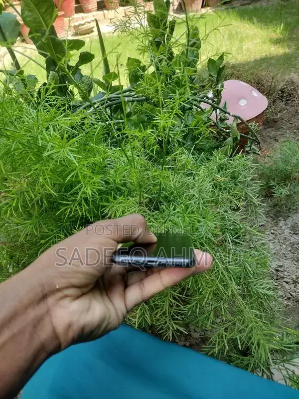 iphone 7 pta prof ha penal original ha battery health 1000