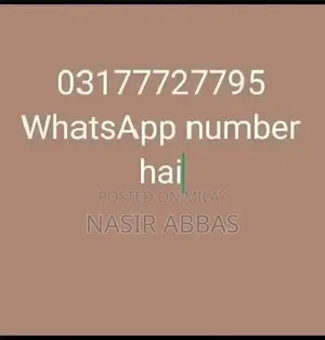 Alabai dog | King Alabai pair | security dog for sale | Alabai Breed