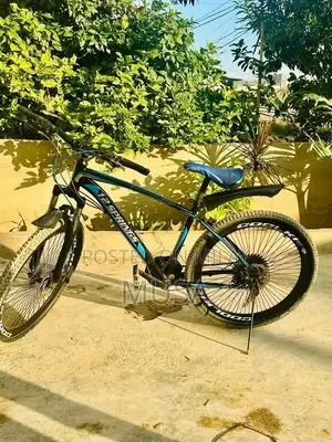 good condition bicycle and new tyre