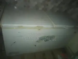 Photo - Deep Freezer For Sale