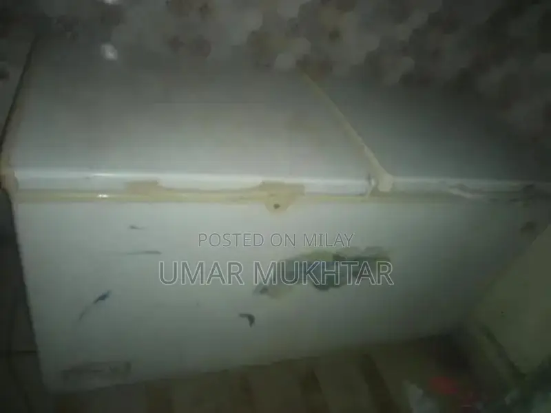 Deep Freezer For Sale