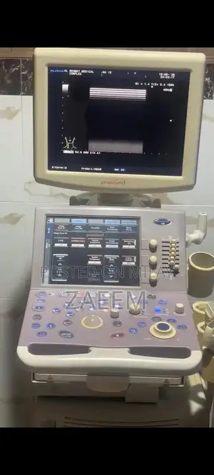 Aloka Prosound Alpha 6 LCD Color Doppler Ultrasound Machine with Dual