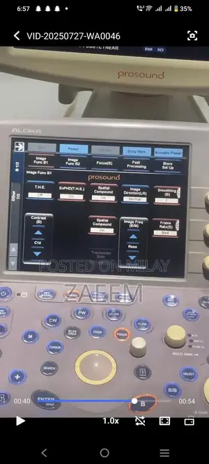 Aloka Prosound Alpha 6 LCD Color Doppler Ultrasound Machine with Dual