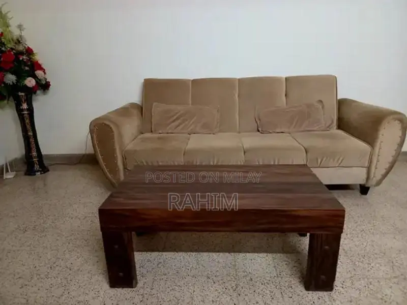 Comfortable Customized Sofa Bed with Unique Arm Rests