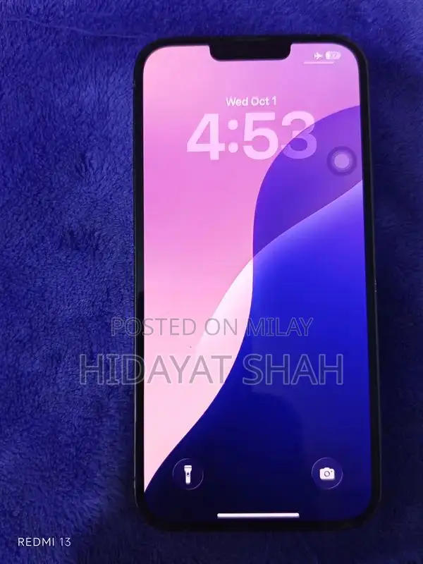 Versatile Mobile Device with Multiple Connectivity Options