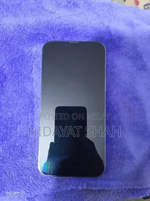 Versatile Mobile Device with Multiple Connectivity Options