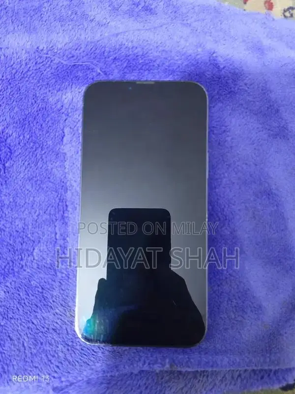 Versatile Mobile Device with Multiple Connectivity Options