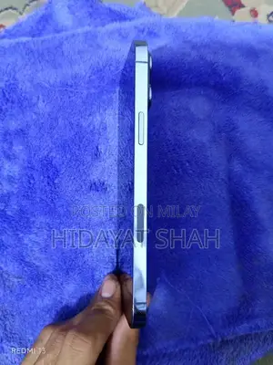 Versatile Mobile Device with Multiple Connectivity Options