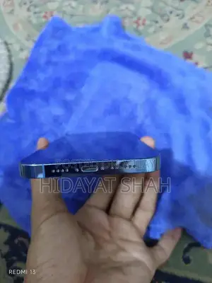 Versatile Mobile Device with Multiple Connectivity Options