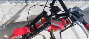 Chicago bicycle size 12 imported bicycle