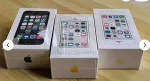 Apple iPhone 5s Unlocked Smartphone - Gray/Silver/Gold Options