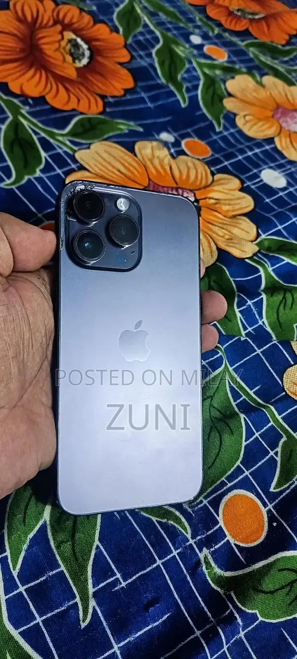 Apple Pro Max 128GB Smartphone with Slight Damage