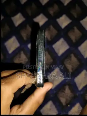 Argent Mobile Device with Multiple Features