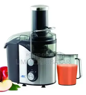 Anex Deluxe High-Performance Stainless Steel Juicer