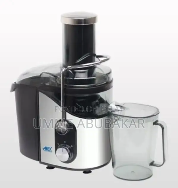 Anex Deluxe High-Performance Stainless Steel Juicer