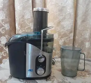 Anex Deluxe High-Performance Stainless Steel Juicer