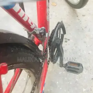 Photo - Morgan cycle