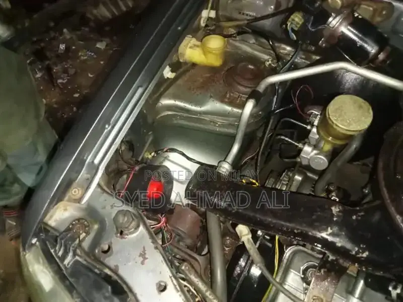 Suzuki Alto Compact City Car - CNG and Petrol Dual Fuel