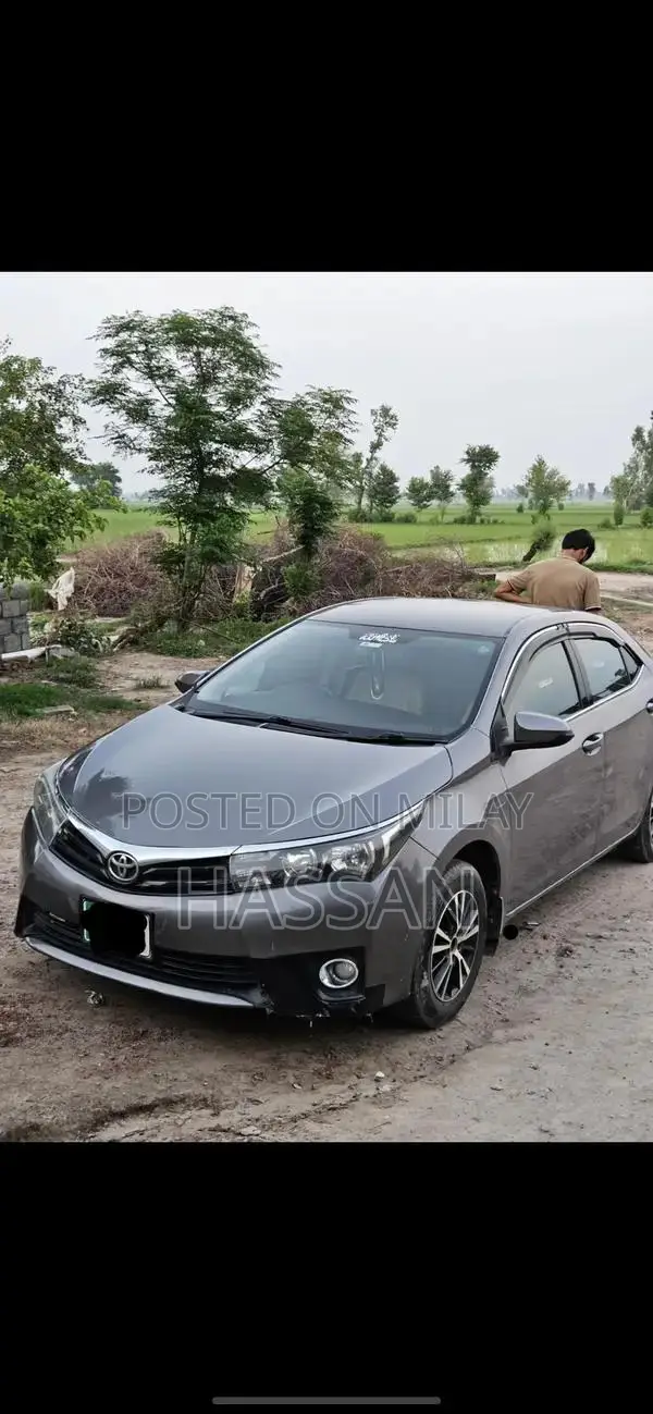 2016 Volkswagen GLI Sedan - Alloy Wheels, Low Mileage