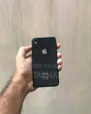 iPhone X 256GB Unlocked Smartphone with Issues