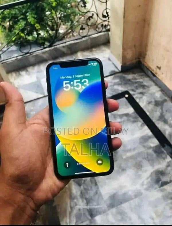 iPhone X 256GB Unlocked Smartphone with Issues