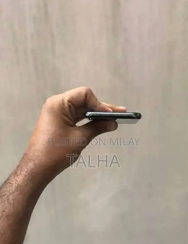 iPhone X 256GB Unlocked Smartphone with Issues