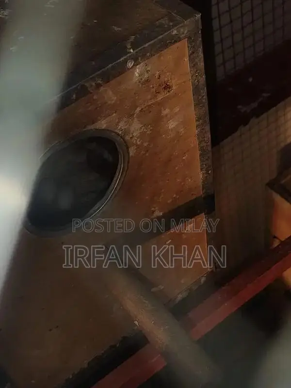 Love Birds Parblue and Albino Varieties - Exotic Bird Collection