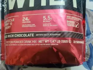 Whey Gold Standard | Double Rich Chocolate | 22 servings