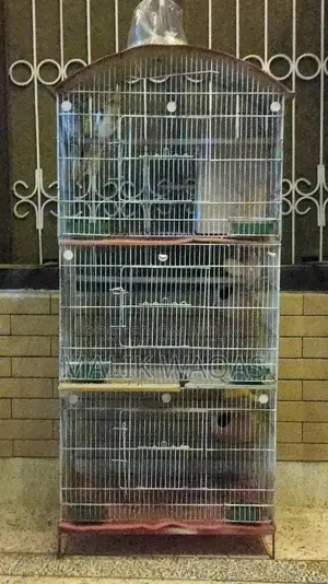 Photo - Full setup need to sale