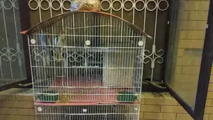 Full setup need to sale