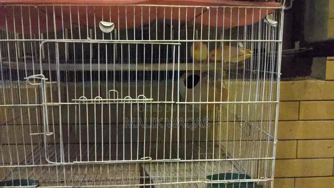 Full setup need to sale