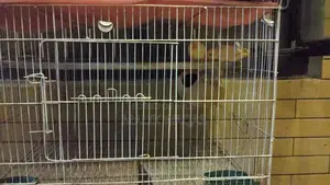 Full setup need to sale