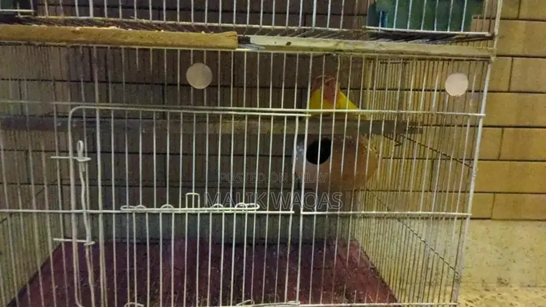 Full setup need to sale