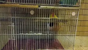 Full setup need to sale