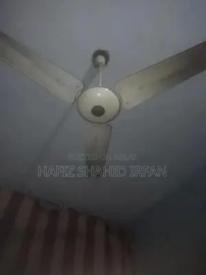 Photo - Royal fAn 56size