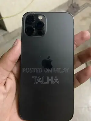 IPhone 12 Pro Gary colure