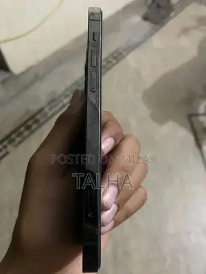 IPhone 12 Pro Gary colure