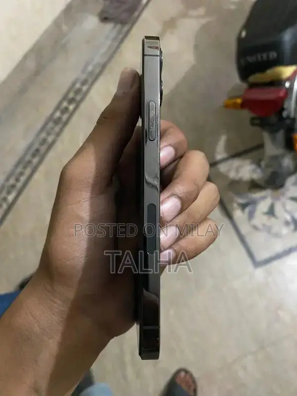 IPhone 12 Pro Gary colure