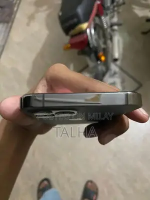 IPhone 12 Pro Gary colure