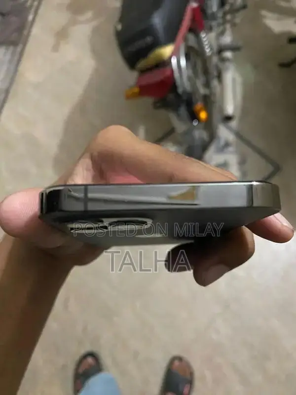 IPhone 12 Pro Gary colure