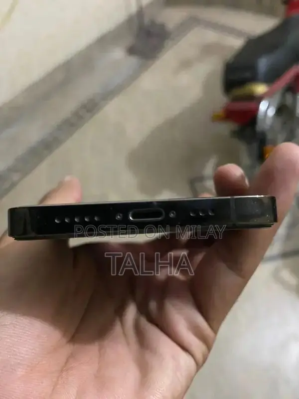 IPhone 12 Pro Gary colure