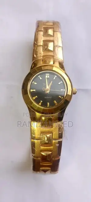 Swistar Luxury Gold-Plated Stainless Steel Fashion Watch
