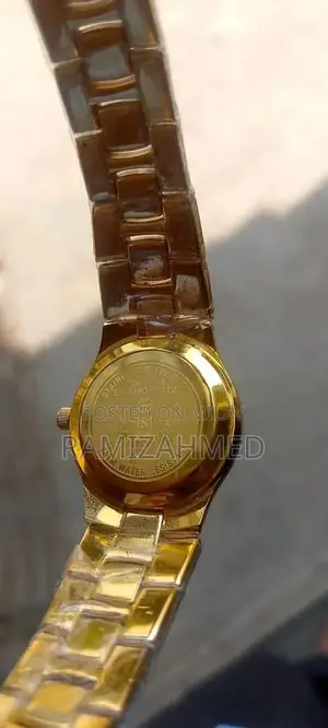 Swistar Luxury Gold-Plated Stainless Steel Fashion Watch