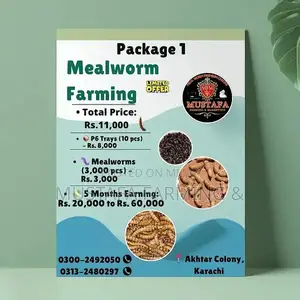 Live Mealworms for Feeding Birds, Reptiles, Fish